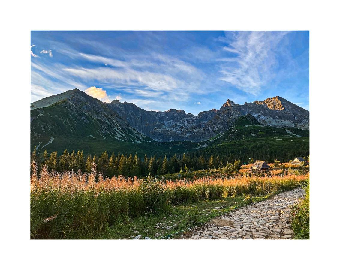 Willa Danielka Zakopane Dış mekan fotoğraf