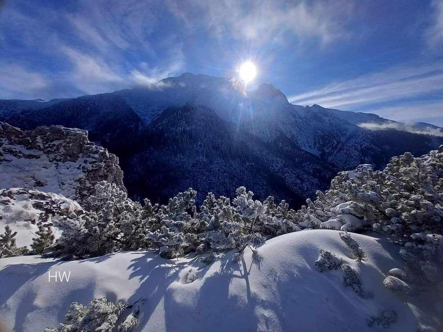 Willa Danielka Zakopane Dış mekan fotoğraf